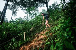 BIB: 
                            <button type="button" onclick="openModal(26202113)" class="btn btn-primary btn-sm float-right btn-popup" data-toggle="modal" data-target=".modal-high-quality">
                        <i class="fas fa-shopping-cart"></i> Add to Cart
                    </button>
                                            <button type="button" onclick="isThisMe(26202113, true)" class="btn btn-success btn-sm float-right btn-popup btn-isme hidden" data-toggle="tooltip" data-placement="bottom" title="นี่คือรูปของคุณใช่ไหม คลิกที่นี่เพื่อเอาเข้าอัลบั้ม">
                        <i class="fas fa-plus"></i> Add to album
                    </button>
                    <button type="button" onclick="isThisMe(26202113, false)" class="btn btn-warning btn-sm float-right btn-popup btn-isnotme hidden">
                        <i class="fas fa-ban"></i> Remove from album
                    </button>